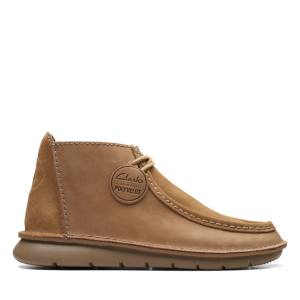 Clarks Colehill Wally Gležnarji Moški Rjave | CLK793LXE