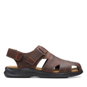 Clarks Hapsford Cove Sandale Moški Rjave | CLK837HAZ