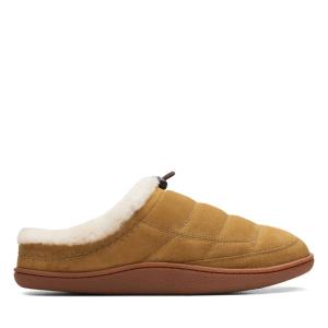 Clarks Pilton Mule Copati Moški Zelene | CLK652CSF