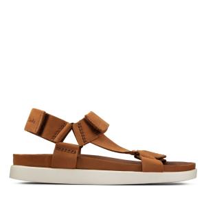 Clarks Sunder Range Sandale Moški Rjave | CLK483PMK