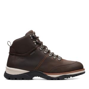 Clarks ToptonPine GTX Originals Škornji Moški Temno Rjave | CLK571QAT