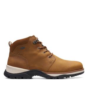 Clarks Topton Mid GORE-TEX Gležnarji Moški Rjave | CLK390VPX