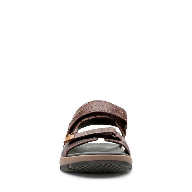 Clarks Brixby Shore Sandale Moški Temno Rjave | CLK476BJP