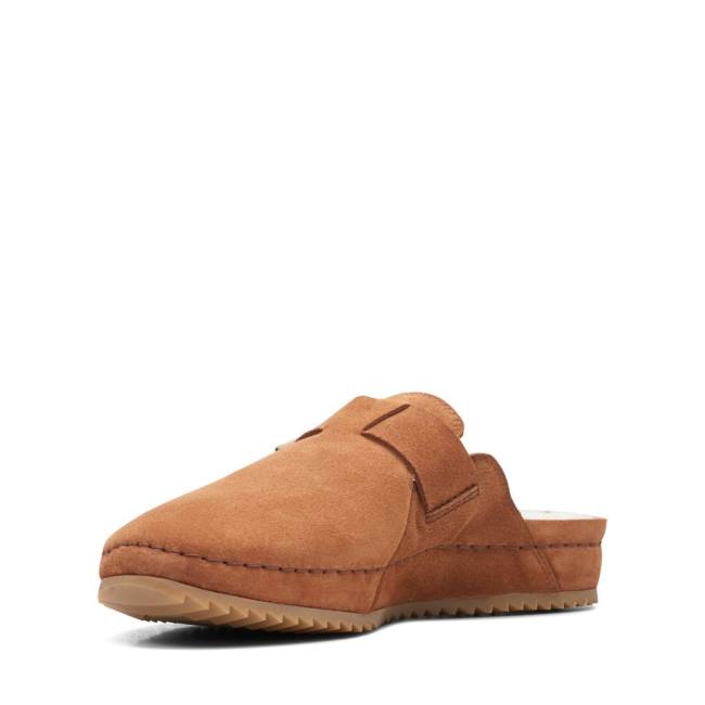 Clarks Brookleigh Mule Copati Ženske Rjave | CLK280VXB