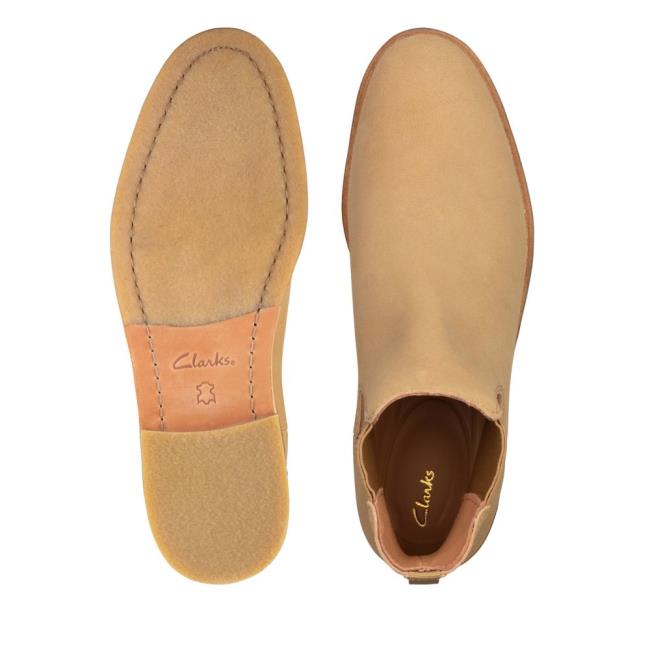 Clarks Clarkdale Gobi Čevlji Chelsea Moški Temno Rjave | CLK048LOI