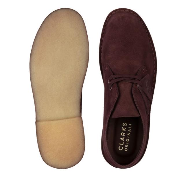 Clarks Desert Boot Desert Gležnarji Moški Bordo | CLK102PQV