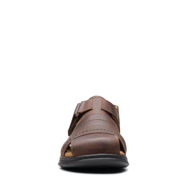 Clarks Hapsford Cove Sandale Moški Rjave | CLK837HAZ