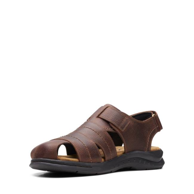 Clarks Hapsford Cove Sandale Moški Rjave | CLK837HAZ