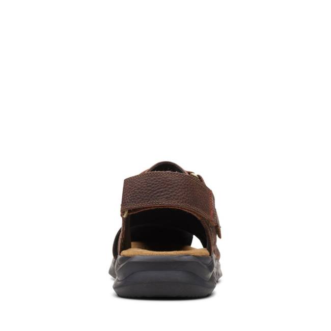 Clarks Hapsford Cove Sandale Moški Rjave | CLK837HAZ