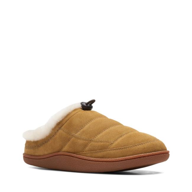 Clarks Pilton Mule Copati Moški Zelene | CLK652CSF