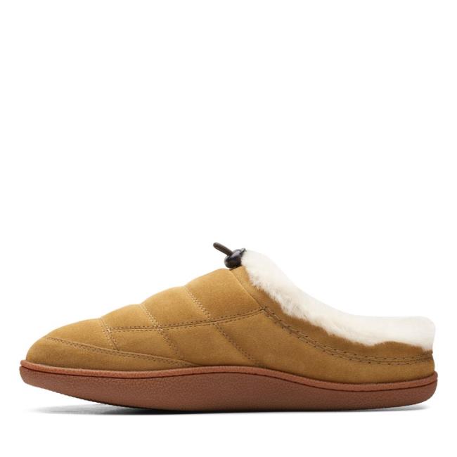 Clarks Pilton Mule Copati Moški Zelene | CLK652CSF