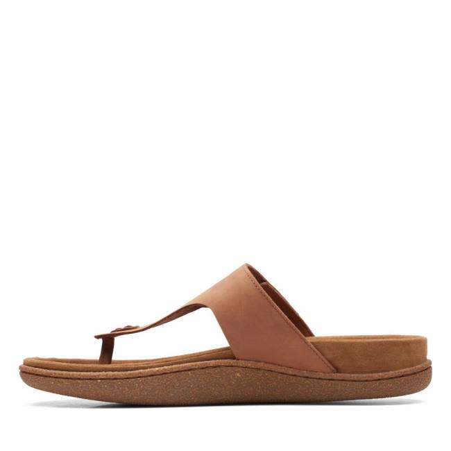 Clarks Pilton Post Sandale Moški Temno Rjave | CLK043WFU