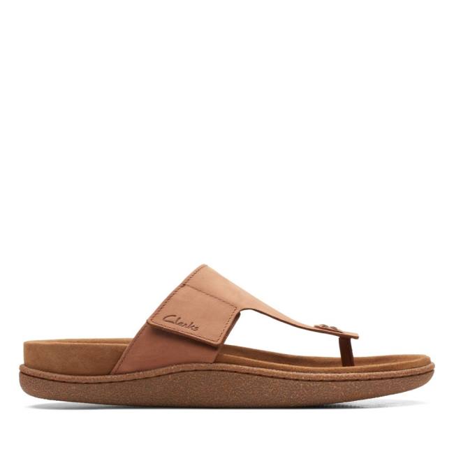 Clarks Pilton Post Sandale Moški Temno Rjave | CLK043WFU