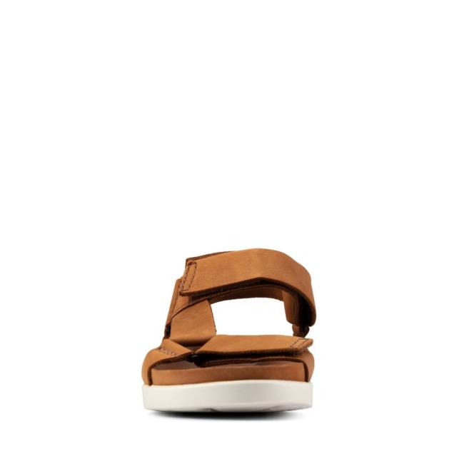 Clarks Sunder Range Sandale Moški Rjave | CLK483PMK