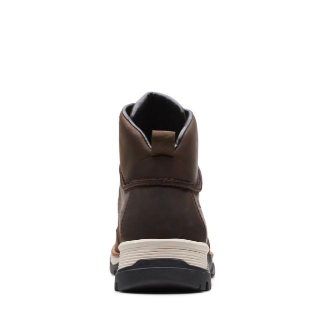 Clarks ToptonPine GTX Originals Škornji Moški Temno Rjave | CLK571QAT