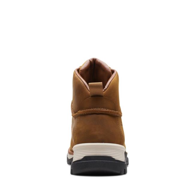 Clarks ToptonPine GTX Originals Škornji Moški Rjave | CLK815FGU