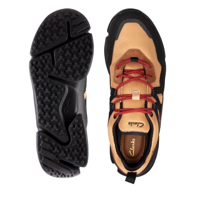 Clarks Tri Path Trek GORE-TEX Superge Moški Rjave | CLK986OWQ